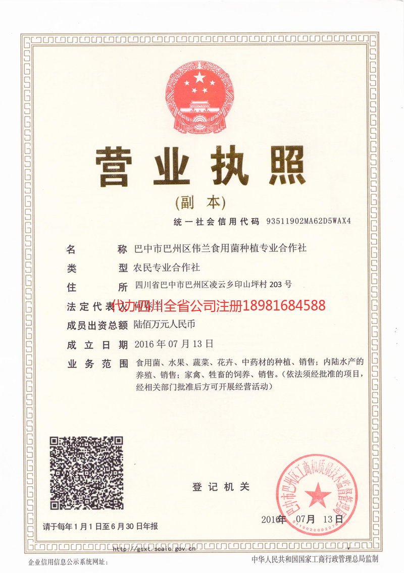 晋城晋城伟兰食用菌种植专业合作社